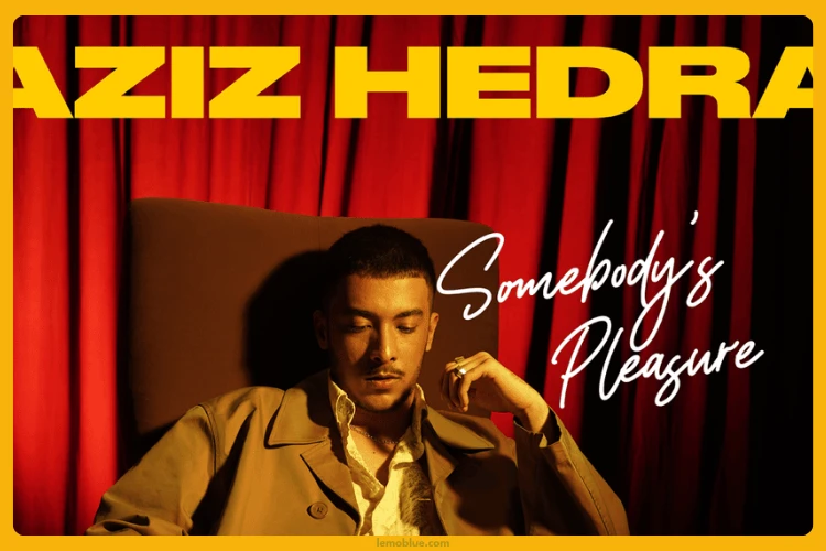 arti Lagu Somebody's Pleasure Aziz Hedra
