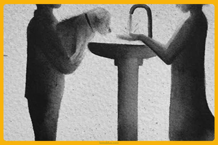 arti Lagu Two Sleeping At Last 