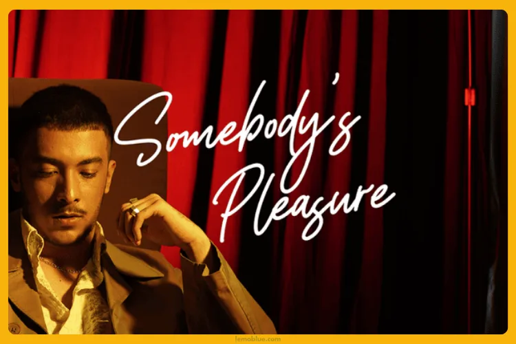 Makna Lagu Somebody's Pleasure Aziz Hedra