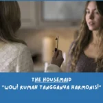 Sinopsis The Housemaid (Alur Cerita)