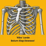 makna lagu ribs lorde