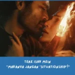 sinopsis Tere Ishk Mein