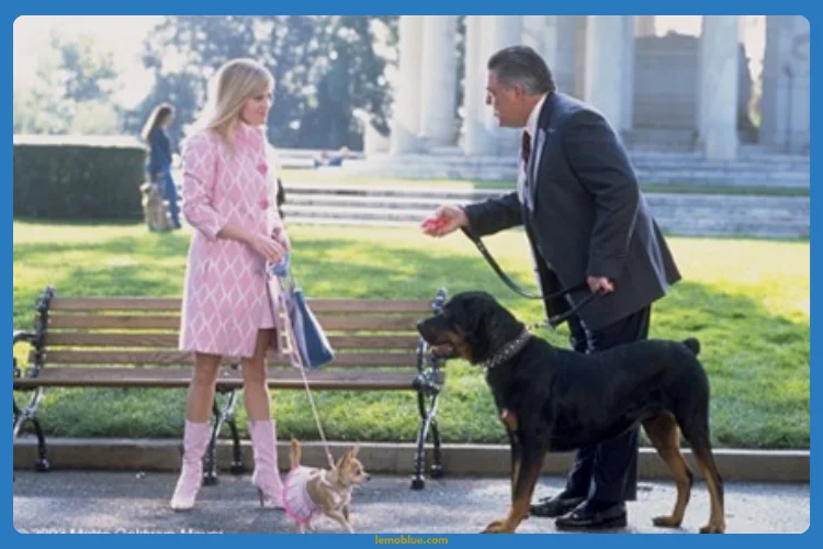 Sinopsis Legally Blonde 2: Ketika Elle Woods Masuk Dunia Politik (Kesimpulan Plot)