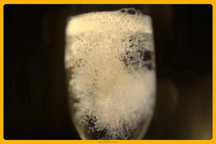 Makna Lagu champagne problems