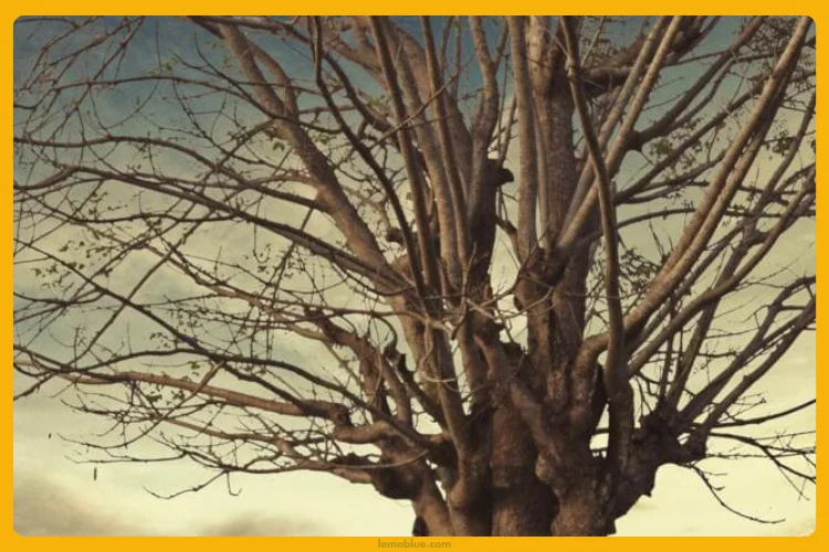 lirik lagu Judika bagaimana kalau aku tidak baik baik saja