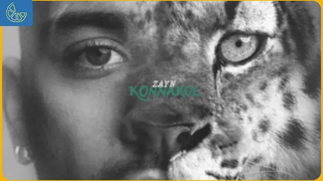 Die for Me ZAYN lirik terjemahan