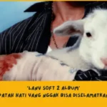Makna Lagu LANY di Album Soft 2