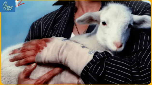 When Did You Stop Loving Me LANY lirik terjemahan