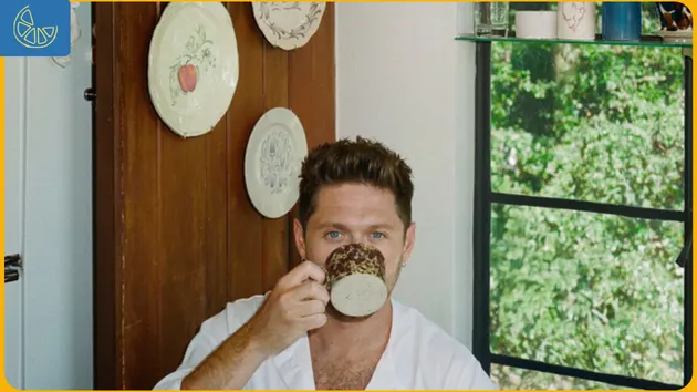 Dinner Party Niall Horan Lirik Terjemahan Bahasa Indonesi