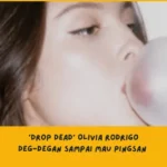 Makna Lagu drop dead Olivia Rodrigo