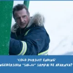 Penjelasan Ending Cold Pursuit