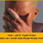 Makna Lagu Pink + White Frank Ocean