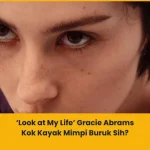 apa makna lagu Look at My Life gracie abrams