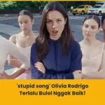 Makna Lagu stupid song Olivia Rodrigo
