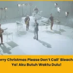 Makna Lagu Merry Christmas Please Don’t Call Bleachers