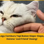lagu tentang cemburu tapi bukan siapa siapa