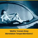 makna lagu moths conan gray