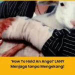 Makna lagu How To Hold An Angel