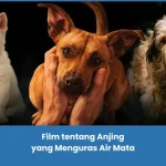 Rekomendasi Film tentang Anjing yang Sedih