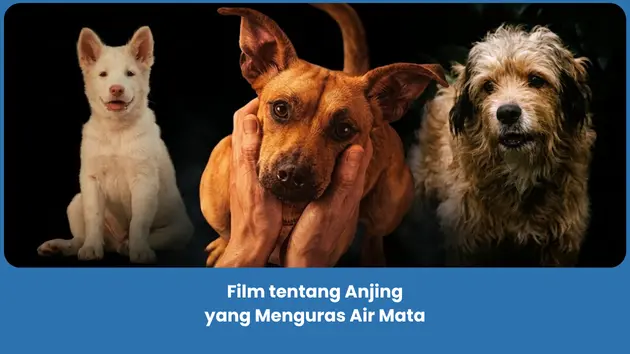Rekomendasi Film tentang Anjing yang Sedih