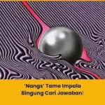 makna lagu nangs tame impala